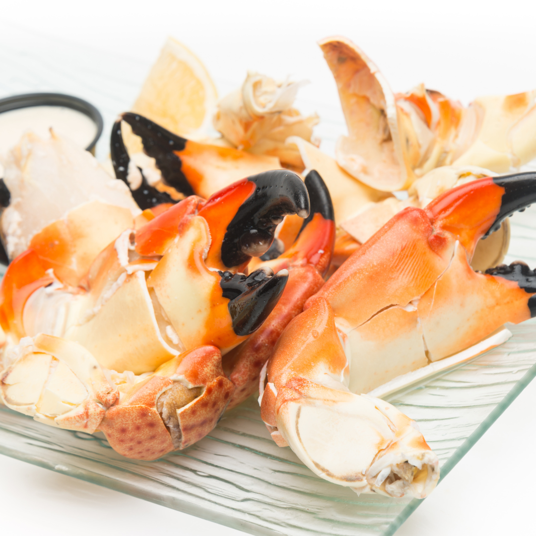 Dimensions Of A Stone Crab Red King Crab Species Profile, Alaska