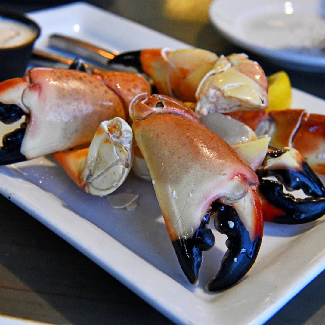 Where is the Best Spot to Catch Stone Crabs?