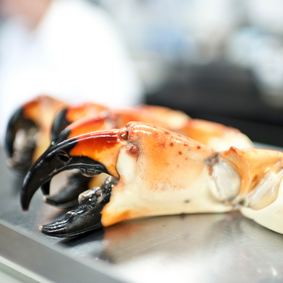 Eating Stone Crab Claws Like a Pro