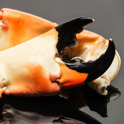 Most Expensive Crabs for People Wishing to Spend a Lot on Seafood