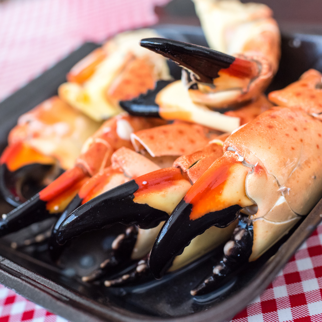 Stone Crab Season in South Florida