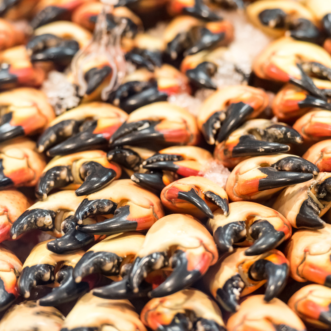 How to Cook Stone Crab Claws