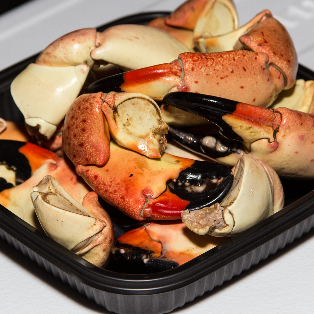 Is Stone Crab Better Than Lobster?