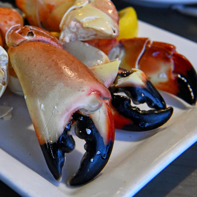 Are Stone Crabs Good for You?