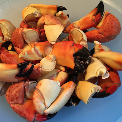 Which is more expensive? Stone Crab or King Crab?