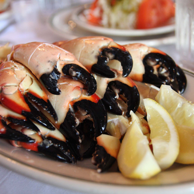 Are Stone Crabs Good for Your Health?