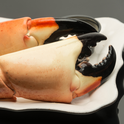 What is the Difference Between Stone Crab and Regular Crab?