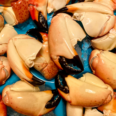 Why is Stone Crab Special?