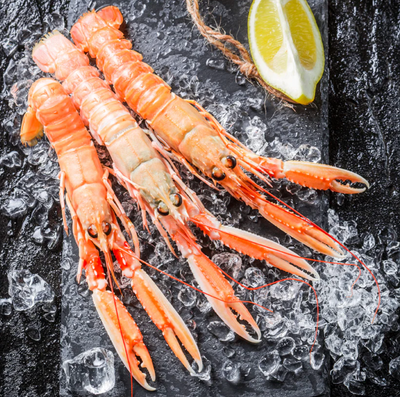 Everything You Need to Know About Langoustines