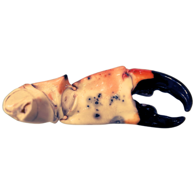 Mega Stone Crab Claws