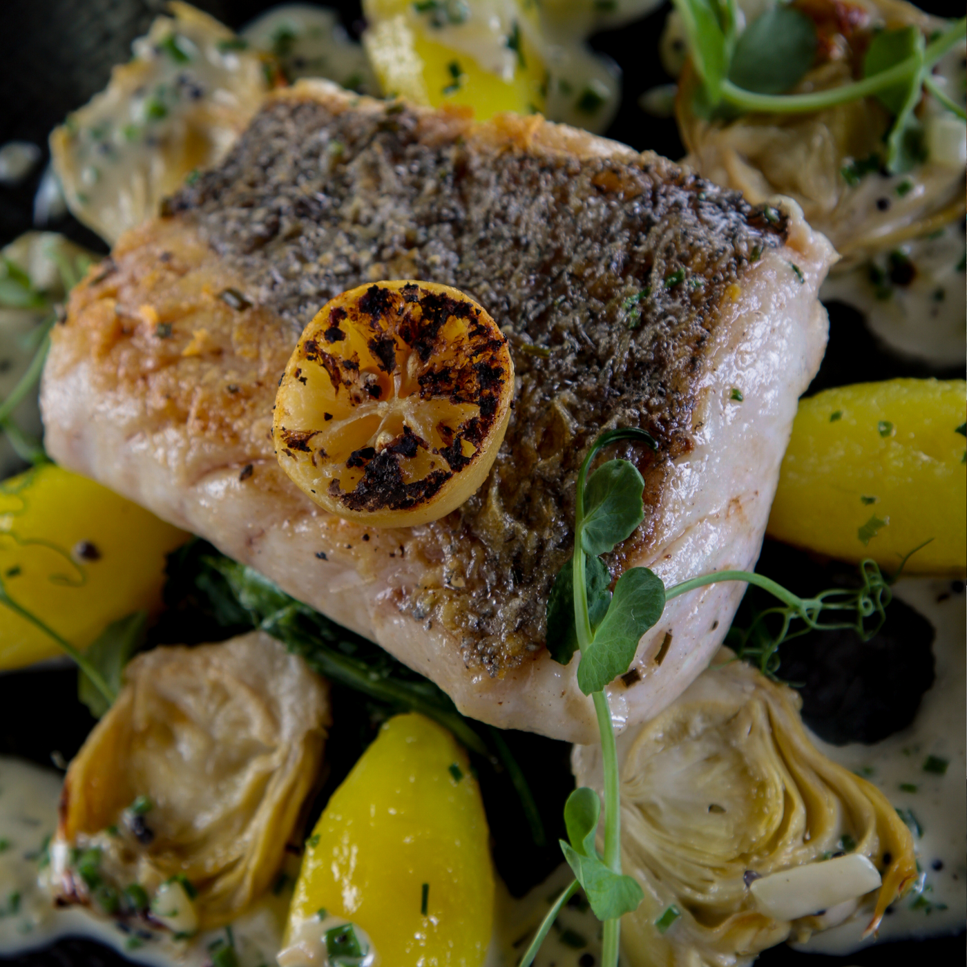 Wild-Caught Cod from Maine