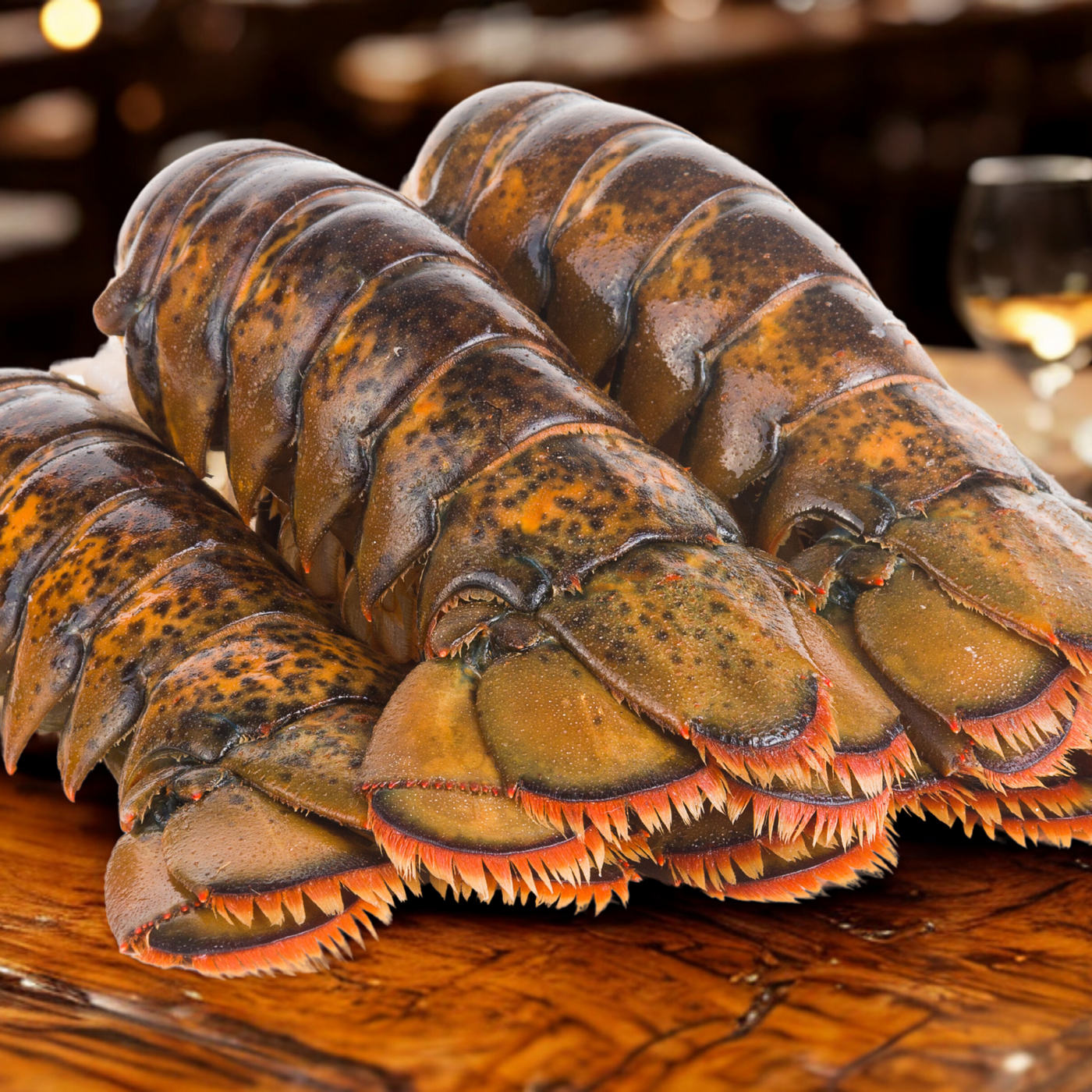 Single Tails Fish Wild-Caught Australian Lobster Tail – Single Tail – Stone Crab Club