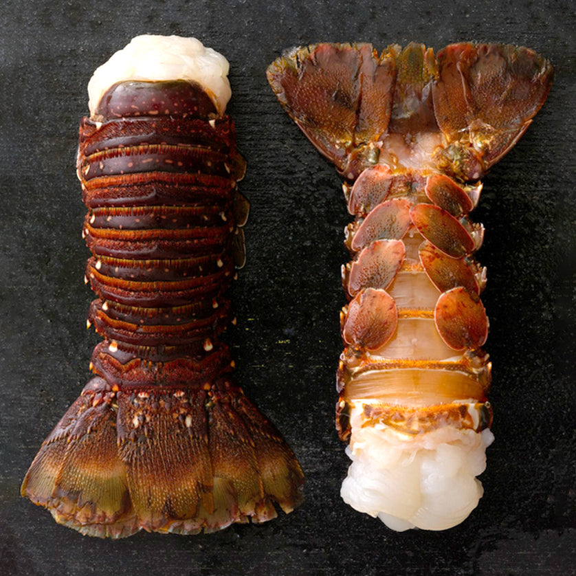 Lobster Tails from Australia